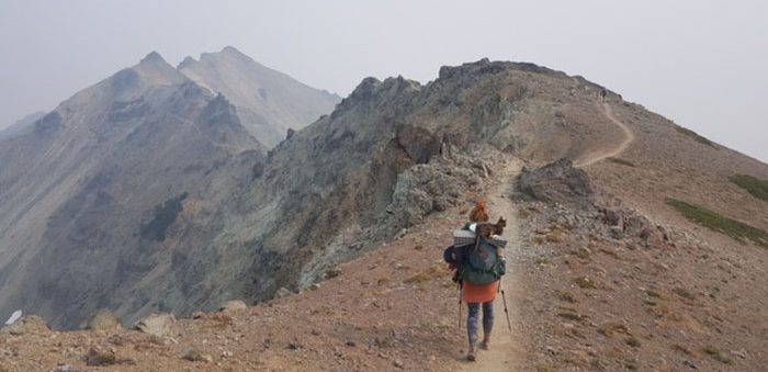 Ascending To Higher Ground